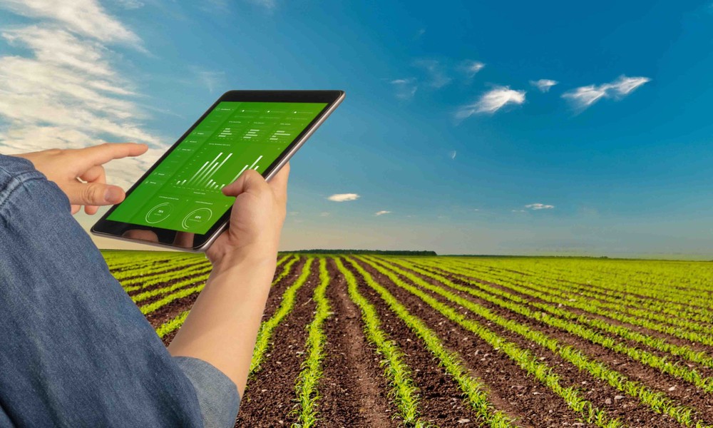 Good Farm Manager Farm Management Strategies for Entrepreneurs Looking to Scale - HGI ...